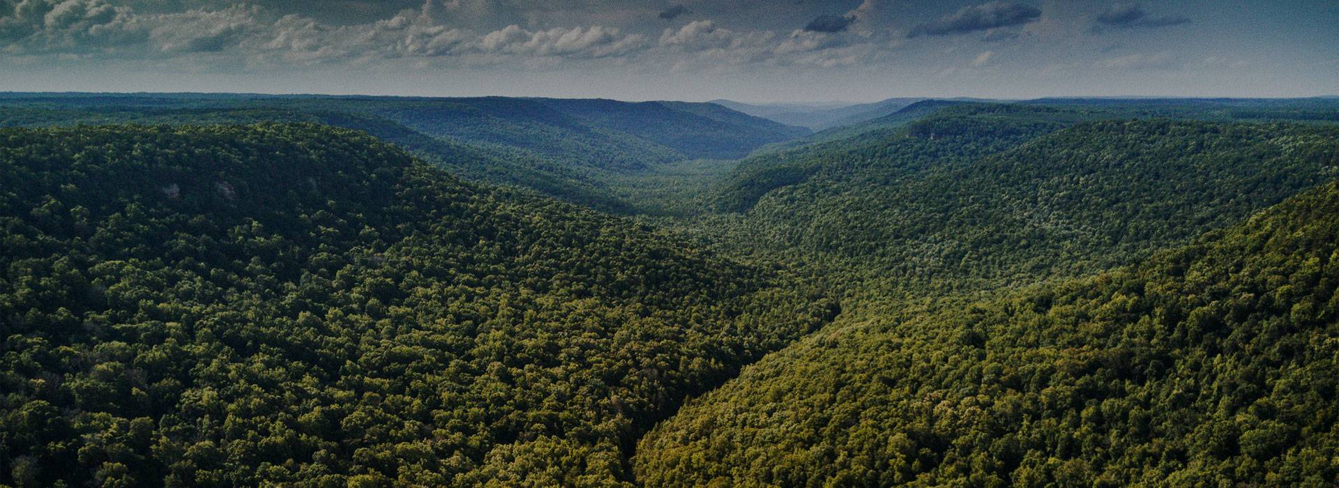 Aerial view image of the hills of Tennessee near Kelso, TN where Sons of Mitch's Tennessee Whiskey is distilled